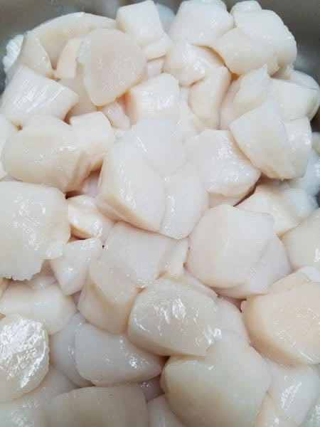 Sea Scallops