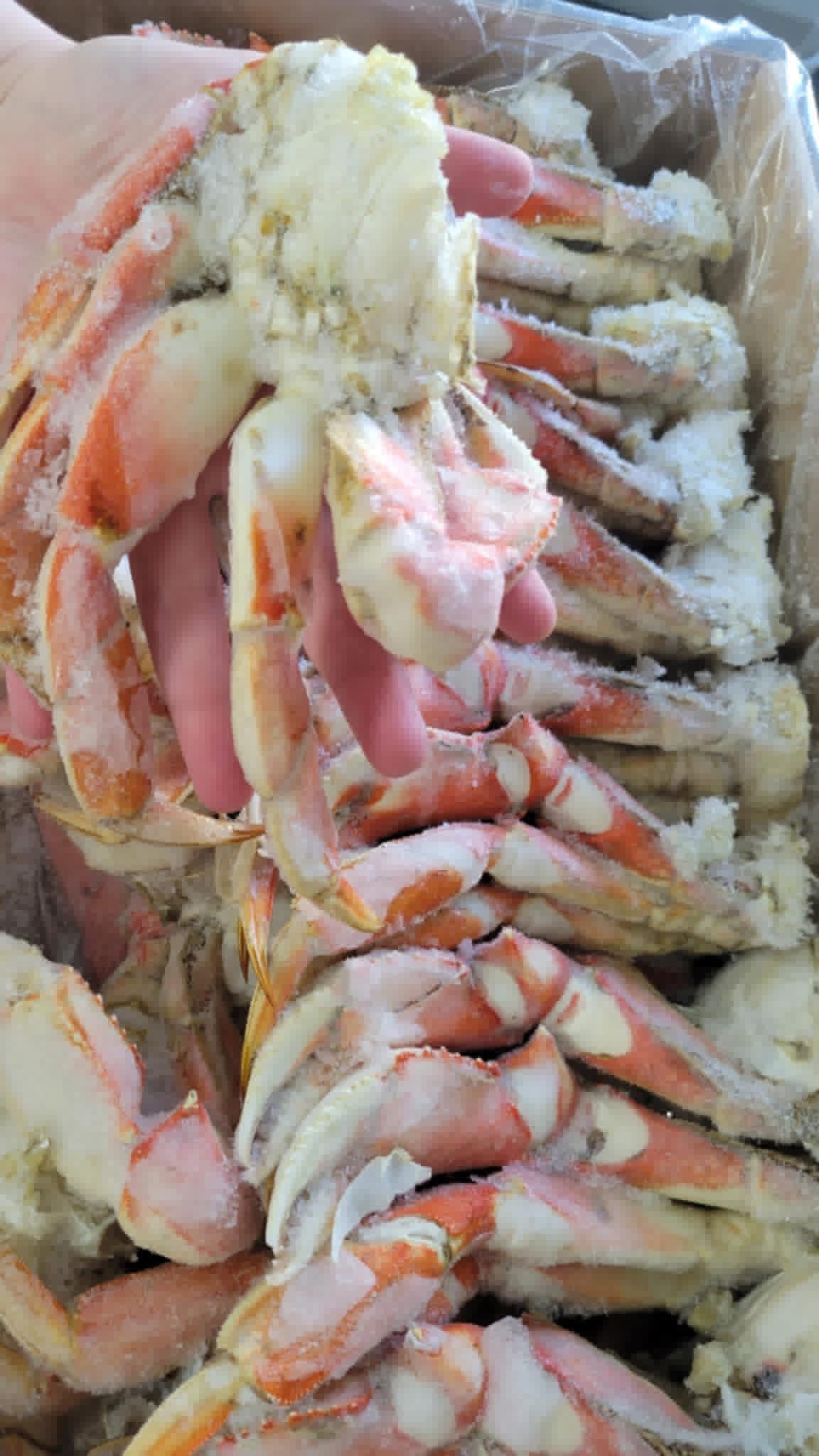 Dungeness Crab