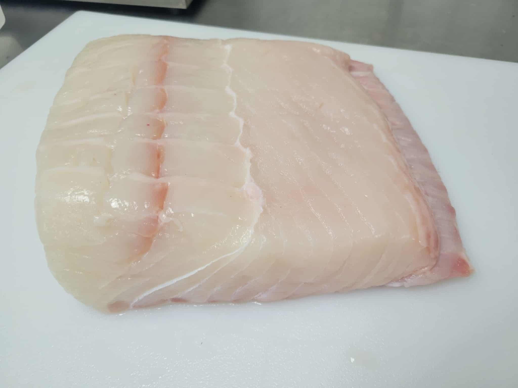 Halibut