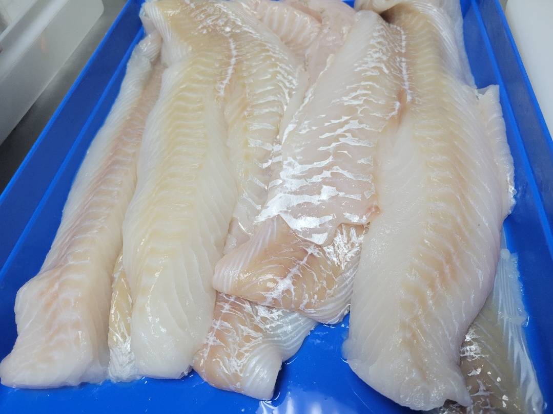 Cod Fish