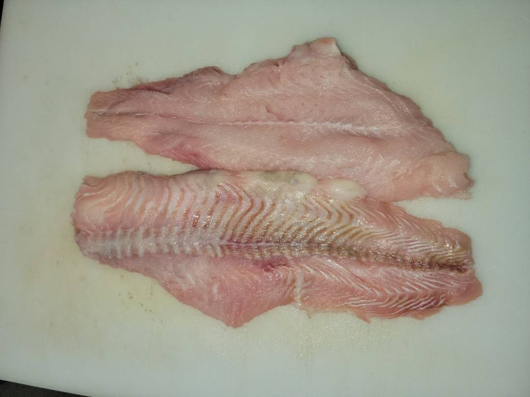 Catfish Filet