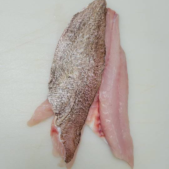 Gag Grouper