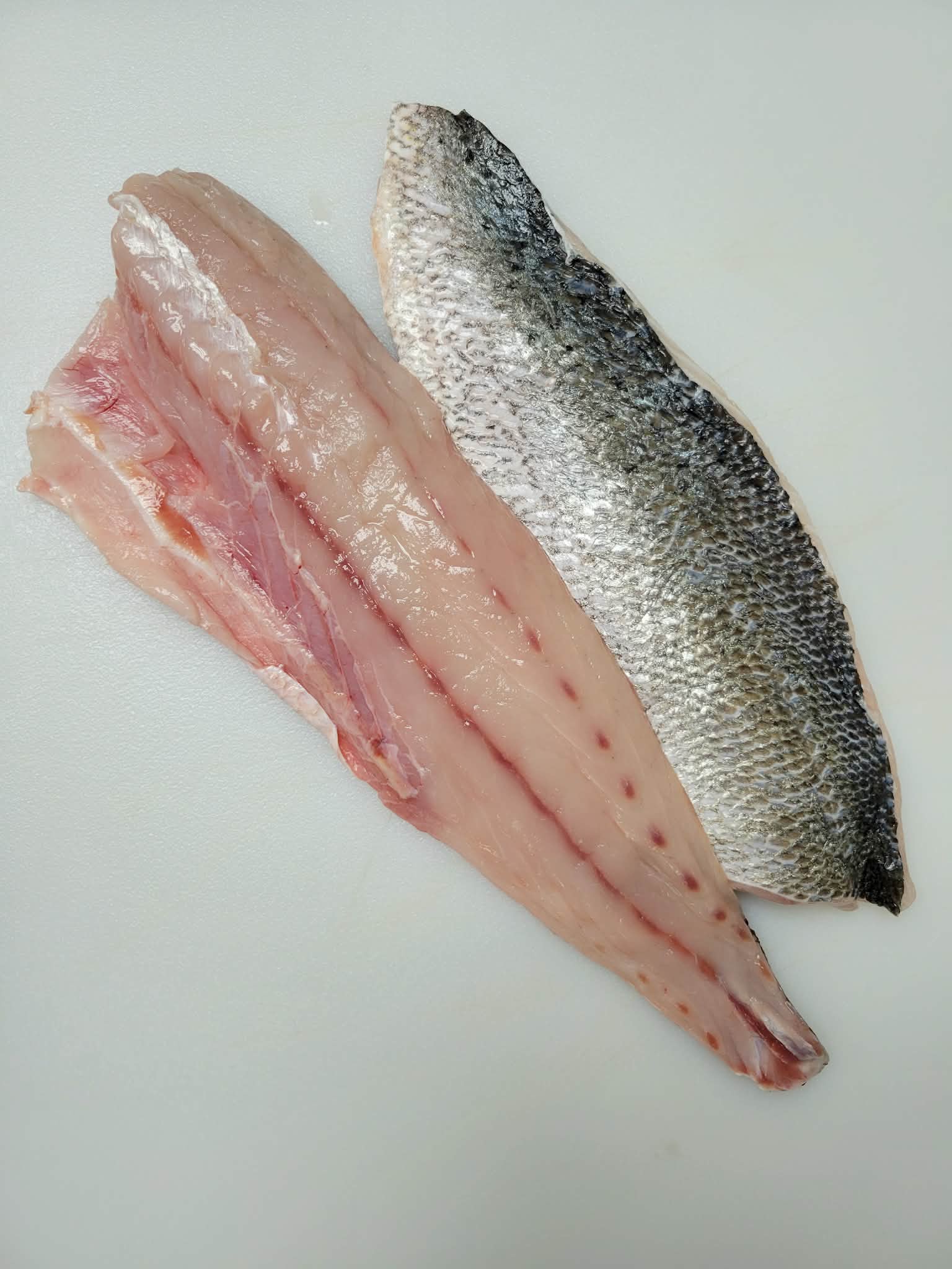 Golden Spot Bass