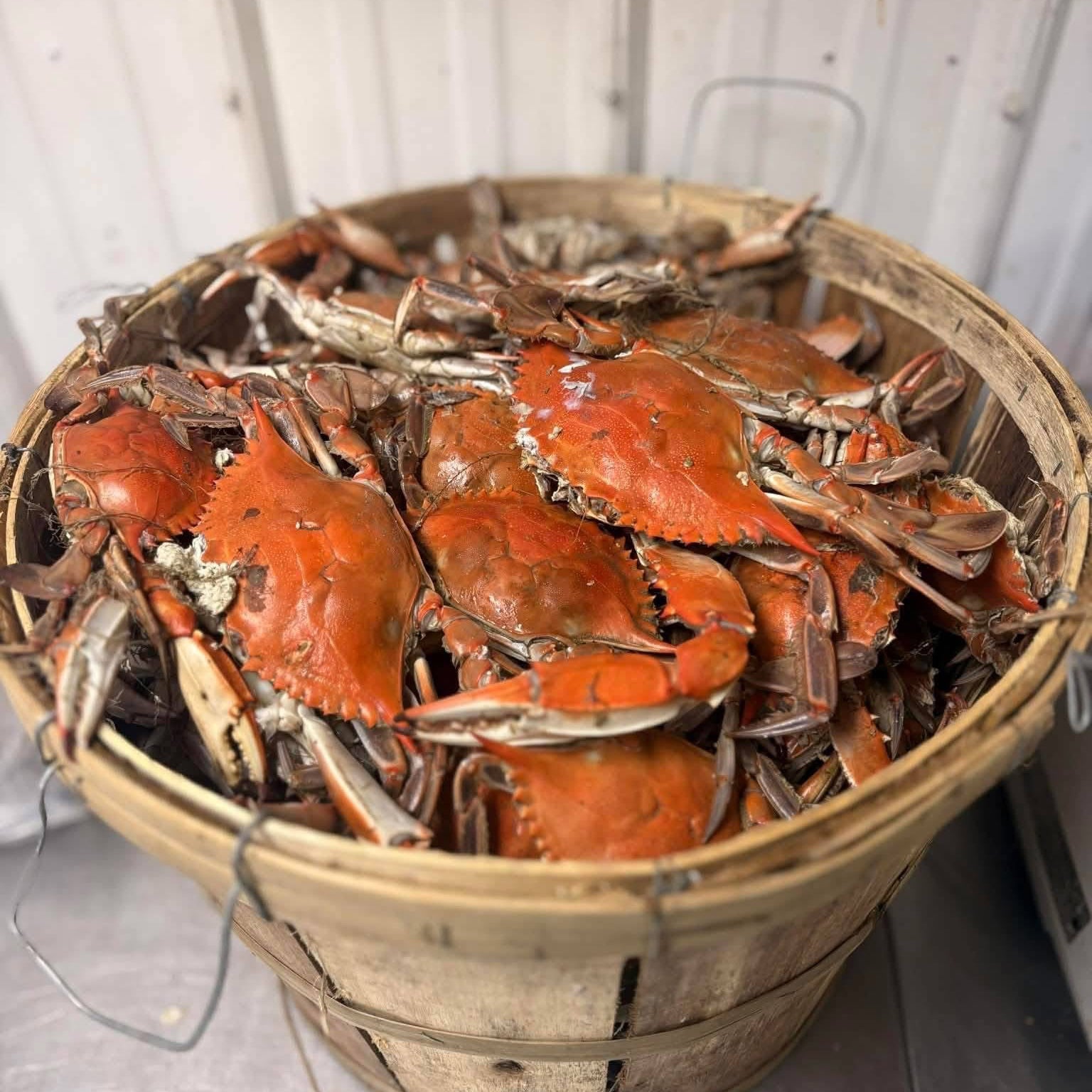Blue Crab By The 1/2 Bushel