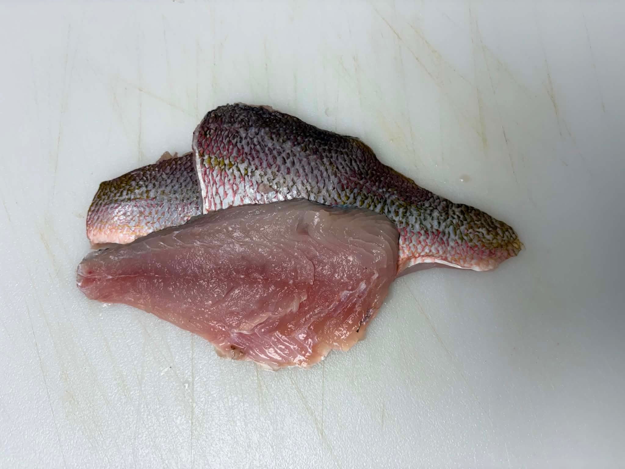 Yellowtail Snapper