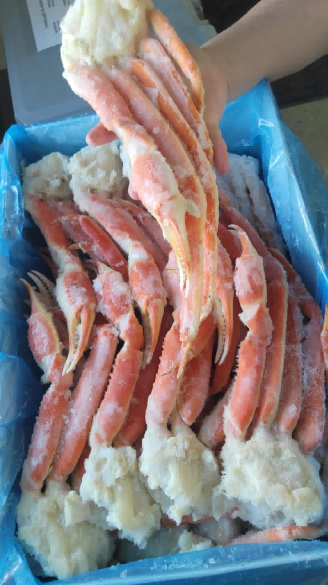 Snow Crab Legs