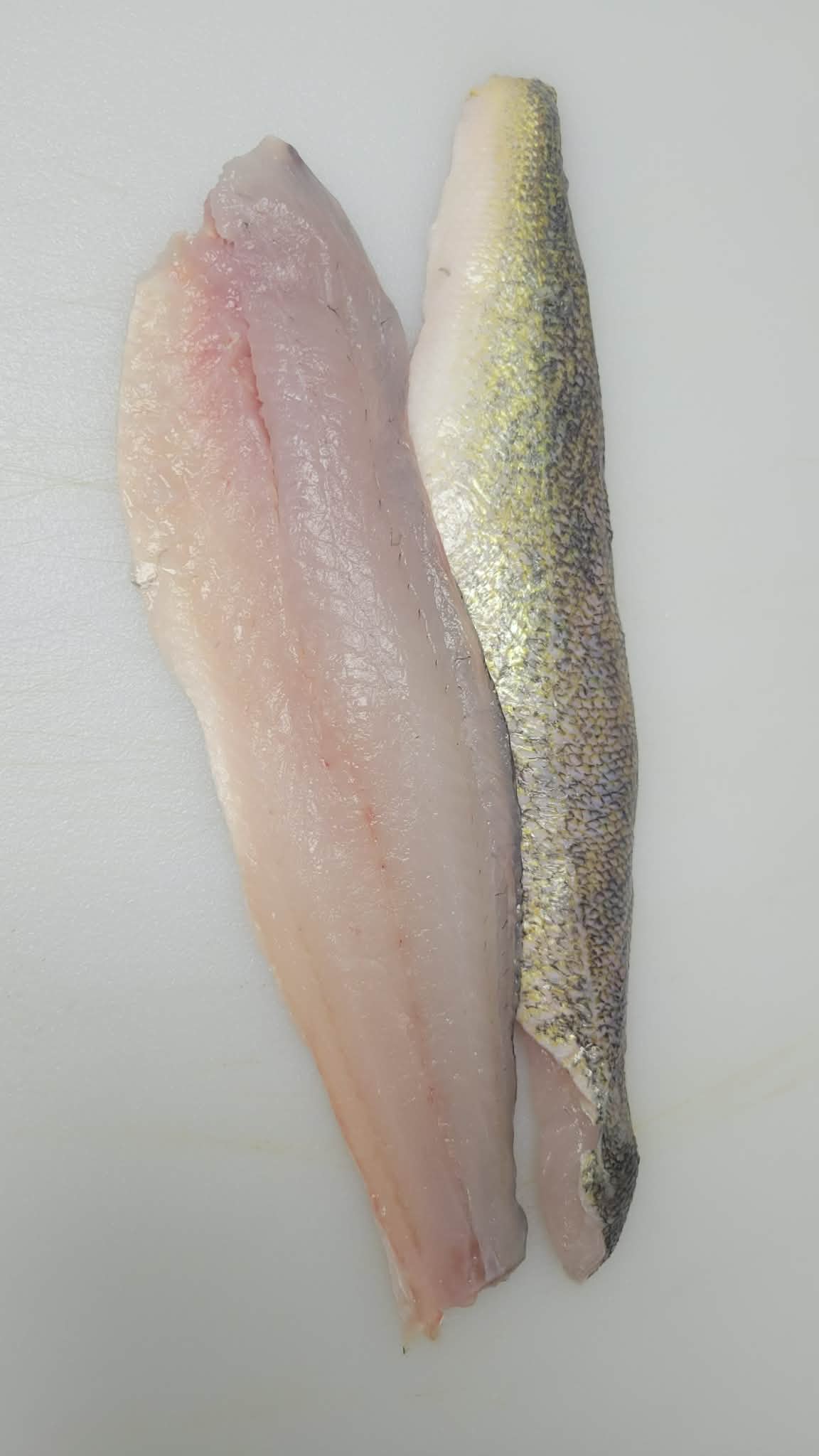 Walleye Filet